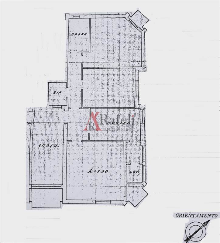 Planimetria 1